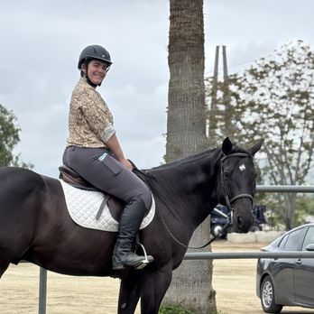 Sandrine Seifert Equestrian - Horseback Riding Near Me - Shadow Hills, California Sandrine Seifert Equestrian - Horseback Riding Near Me - Shadow Hills, California