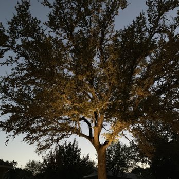 Texas Lawn Authority - We partner with Jackson Lighting Supply in an effort to promote local businesses! - Irrigation Near Me - Spicewood, Texas Texas Lawn Authority - We partner with Jackson Lighting Supply in an effort to promote local businesses! - Irrigation Near Me - Spicewood, Texas