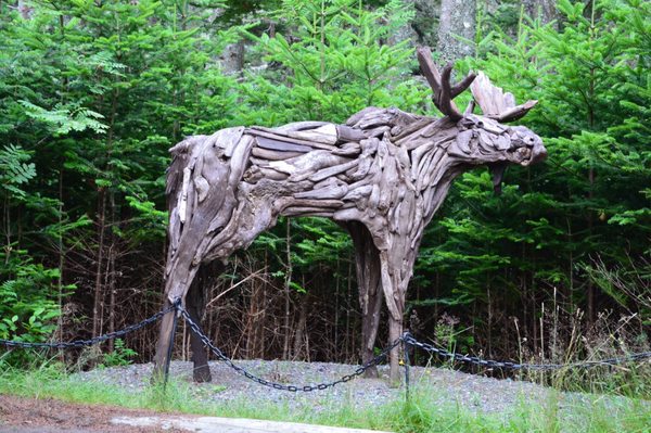 Memorial University Botanical Garden by null