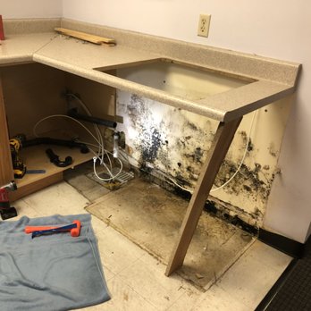 Maintenance Masters - Found mold behind cabinet. - Handyman Near Me - Las Vegas, Nevada Maintenance Masters - Found mold behind cabinet. - Handyman Near Me - Las Vegas, Nevada