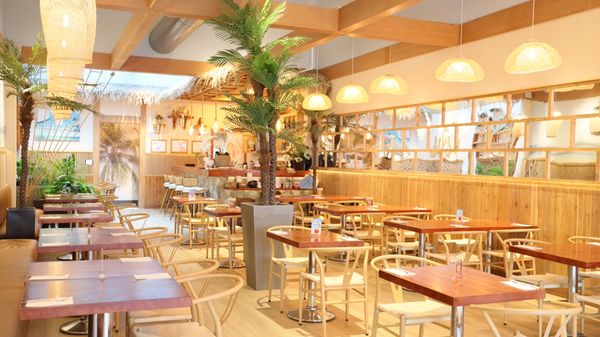 Fin Thai SF by null
