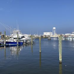 Wanchese Marina & Landing Grill - View from out back