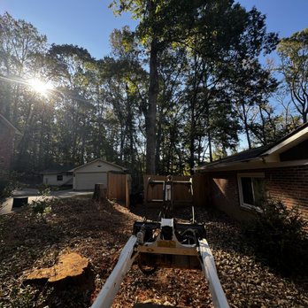 Three Pines Tree Service - Tree Services Near Me Three Pines Tree Service - Tree Services Near Me