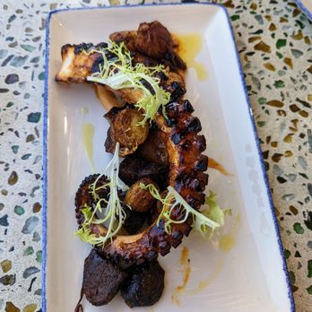 Fresco Cocina - Charred Octopus - Tacos Near Me - Carlsbad, California Fresco Cocina - Charred Octopus - Tacos Near Me - Carlsbad, California