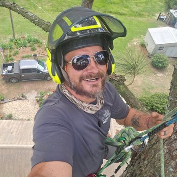 A Cut Above Tree Service - Life in the Canopy - Tree Services Near Me - Sumrall, Mississippi A Cut Above Tree Service - Life in the Canopy - Tree Services Near Me - Sumrall, Mississippi