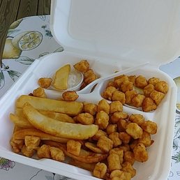 Scallop Plate