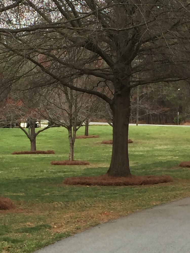 PICKLER PROPERTY MANAGEMENT LANDSCAPING Updated September 2024