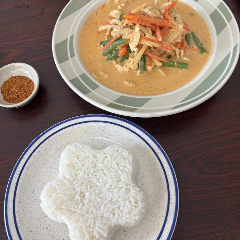 Thai Elephant - Green Curry with chicken - Thai Near Me - Ormond Beach, Florida Thai Elephant - Green Curry with chicken - Thai Near Me - Ormond Beach, Florida