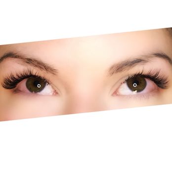 Glam Bella Studio - Classic Lashes - Makeup Artists Near Me - Tampa, Florida