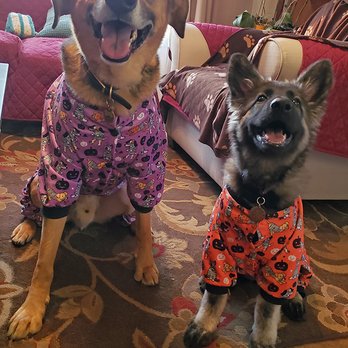 Fetch! Pet Care - Jonas and Arwen - Pet Sitting Near Me Fetch! Pet Care - Jonas and Arwen - Pet Sitting Near Me