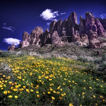 Lost Dutchman State Park - Spring time at the Dutchman - Parks Near Me - Apache Junction, Arizona Lost Dutchman State Park - Spring time at the Dutchman - Parks Near Me - Apache Junction, Arizona