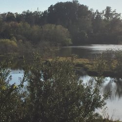 Joe's Creek Watershed Park