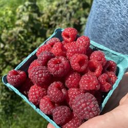 Heider's Berry Farm