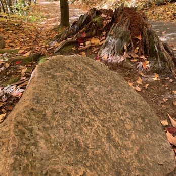 Algonquin Provincial Park - Algonquin Provincial Park - Lookout Trail - Parks Near Me - Whitney, Ontario
