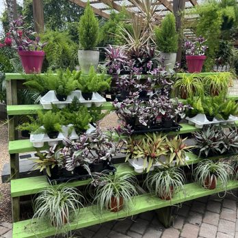 The Green Thumb - Landscaping Near Me - Bluffton, South Carolina