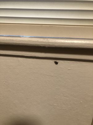 Beacon Properties by null