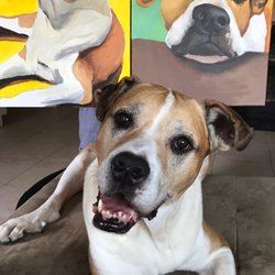 Mcart Studio - Our dog loves his portraits! Thank you Amy and Dayna!