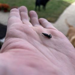 Meineke Car Care Center - The culprit