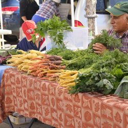 Brownsville Farmers' Market - Farm Fresh Carrots
