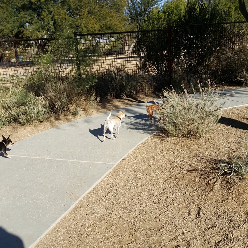 Purple Heart Park: Ivan's Spot - Dog Parks Near Me - Tucson, Arizona Purple Heart Park: Ivan's Spot - Dog Parks Near Me - Tucson, Arizona
