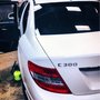 Photo of Tropical Tint Style
