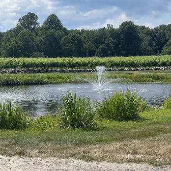 Chamard Vineyards - Wineries Near Me - Clinton, Connecticut Chamard Vineyards - Wineries Near Me - Clinton, Connecticut