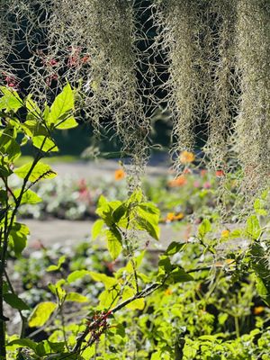 Photo of Mounts Botanical Garden - West Palm Beach, FL, US.