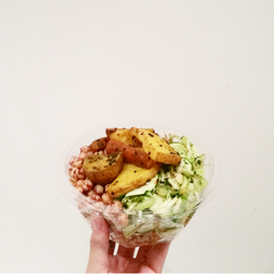 Good Freakin Food - FEASTING BOWL LUNCHbox