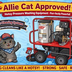 Precision Cleaning Systems