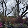 Photo of The Growing Place Garden Center