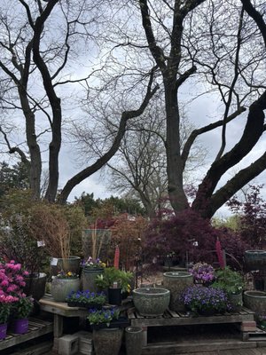 The Growing Place Garden Center by null