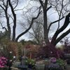 The Growing Place Garden Center gift card