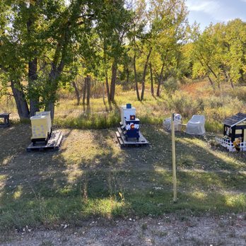 Flat Acres Farm - Bee Hives!! Local honey! - Farms Near Me - Parker, Colorado Flat Acres Farm - Bee Hives!! Local honey! - Farms Near Me - Parker, Colorado