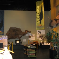 Great Plains Dinosaur Museum - Part of the exhibits at the Great Plains Dinosaur Museum