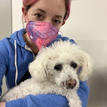 Veterinary Emergency Group - In the waiting room with Hamilton at VEG. - Emergency Pet Hospital Near Me - San Ramon, California