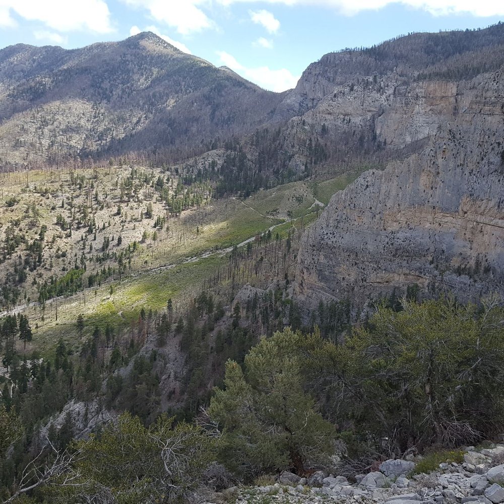 Cathedral Rock - Hiking Near Me - Mt Charleston, Nevada