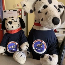 Old Firehouse School Fifth Avenue - Our Mascot!