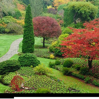 Kate's Corner - a pathway through a garden - Landscaping Near Me - Fort Washington, Pennsylvania Kate's Corner - a pathway through a garden - Landscaping Near Me - Fort Washington, Pennsylvania