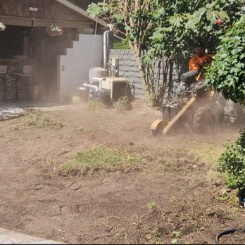 ETURF PRO - Artificial Turf Near Me - Sherman oaks, California