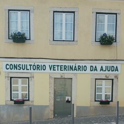 Consultório Veterinário da Ajuda - As nossas novas instalações