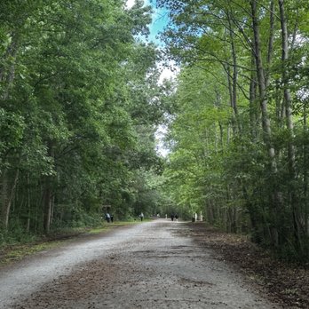 Oak Grove Lake Park - Trails - Parks Near Me - Chesapeake, Virginia Oak Grove Lake Park - Trails - Parks Near Me - Chesapeake, Virginia