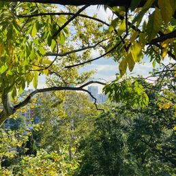 Nice view "overlooking" Harlem.