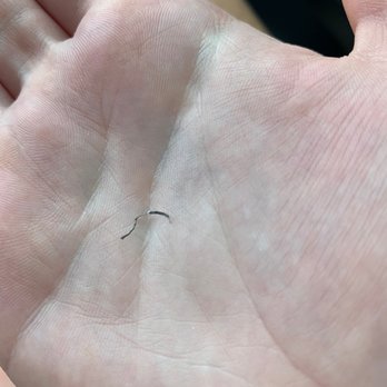Marble Slab Creamery - Piece of metal found in my drink from here. - Ice Cream & Frozen Yogurt Near Me - College Station, Texas