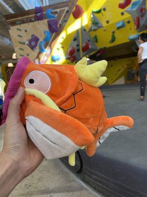 Crux Climbing Center Central - Yoga & Fitness by null