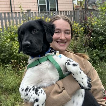 Zen Dog Training - Pet Training Near Me - Somerville, Massachusetts