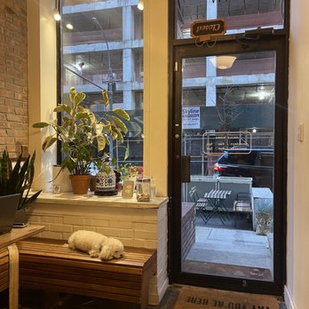 Dreamers Coffee House - Coffee & Tea Near Me - New York, New York Dreamers Coffee House - Coffee & Tea Near Me - New York, New York