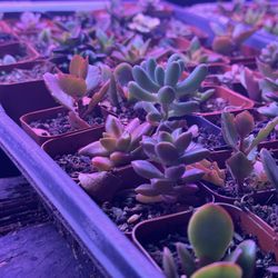 Propagation station!