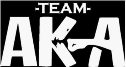 Sharkey's Karate Studio Logo