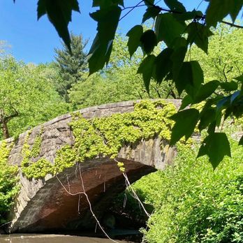 Gapstow Bridge - Taken May 16, 2021 - Landmarks & Historical Buildings Near Me - New York, New York