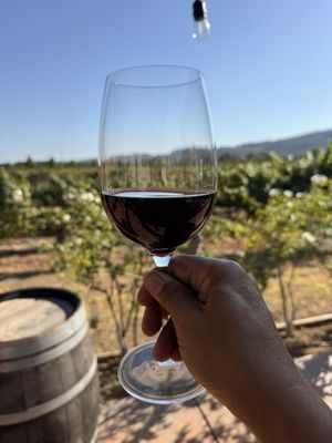 Vezér Family Vineyard - Blue Victorian by null